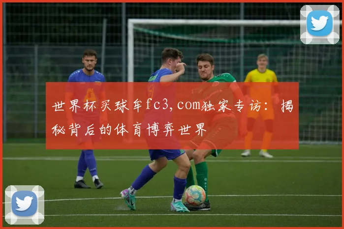 世界杯买球牟fc3,com独家专访:揭秘背后的体育博弈世界
