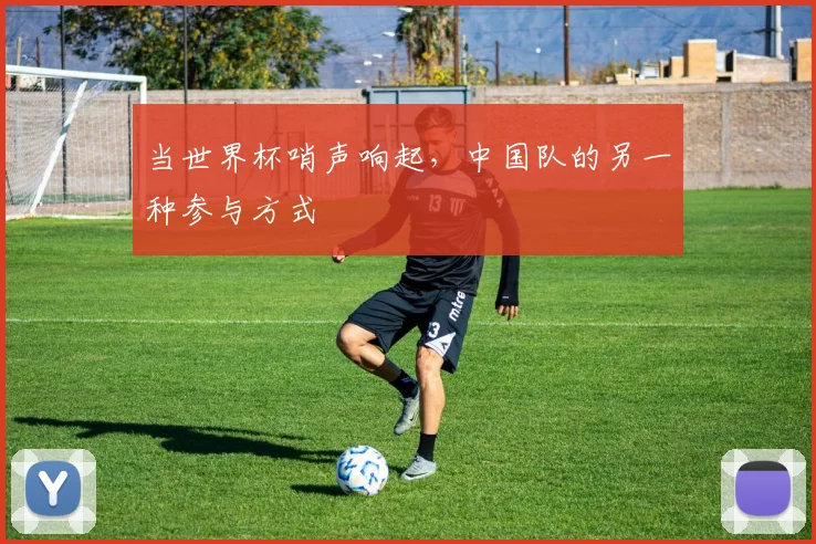 当世界杯哨声响起,中国队的另一种参与方式