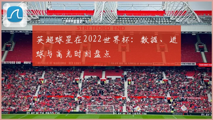 英超球星在2022世界杯：数据、进球与高光时刻盘点