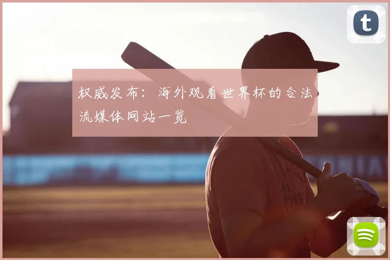 权威发布:海外观看世界杯的合法流媒体网站一览