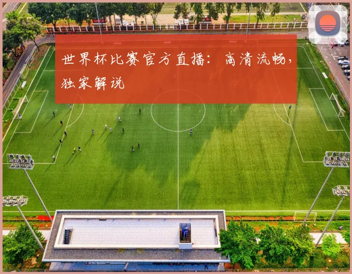 世界杯比赛官方直播：高清流畅，独家解说