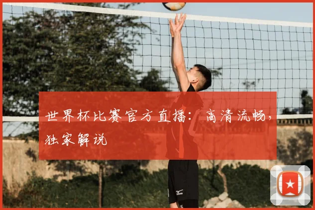 世界杯比赛官方直播:高清流畅,独家解说