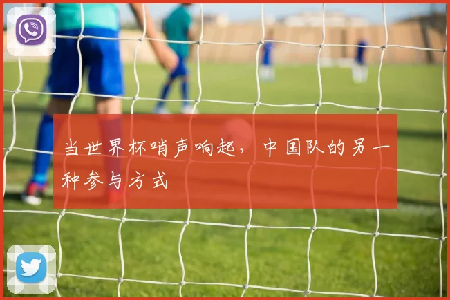 当世界杯哨声响起,中国队的另一种参与方式