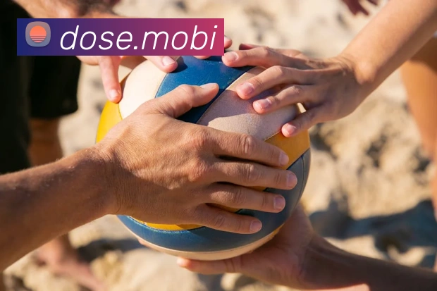 App Interface Preview